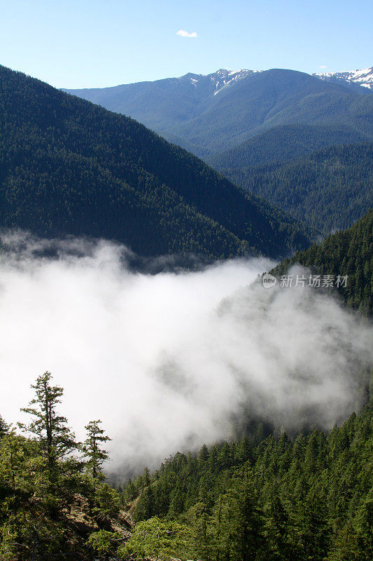 雾渐渐飘进了山里