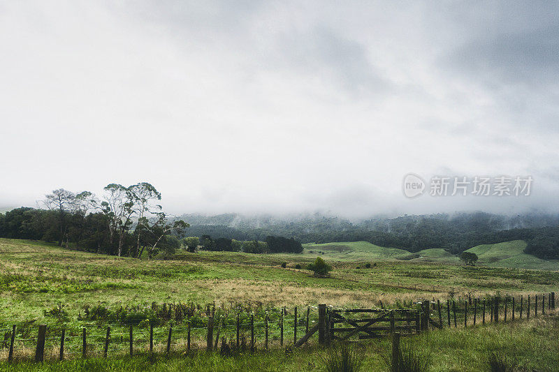 朦胧的新西兰风景