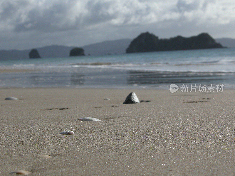 贝壳和岛屿，哈黑海滩科罗曼德尔新西兰