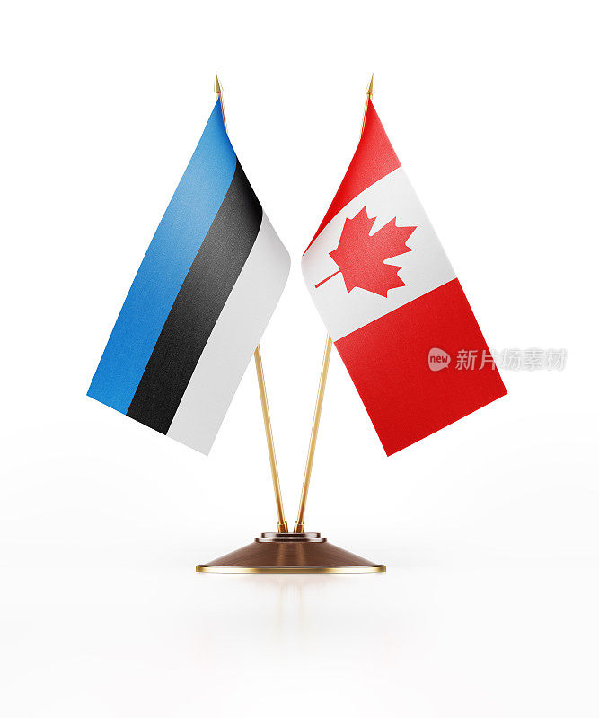 爱沙尼亚和加拿大的微型国旗
