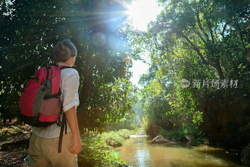 雨林徒步旅行