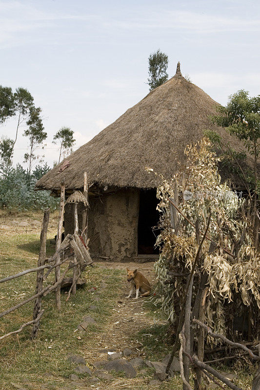 埃塞俄比亚的村庄