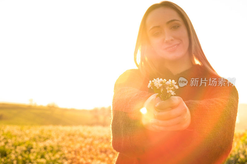 年轻的女孩手捧鲜花在田野里