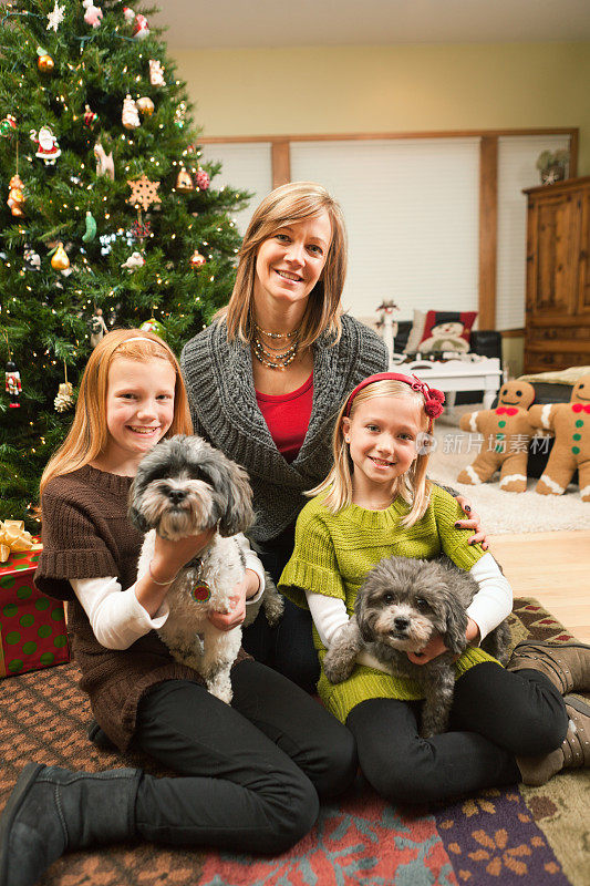 圣诞全家福与父母，孩子和狗