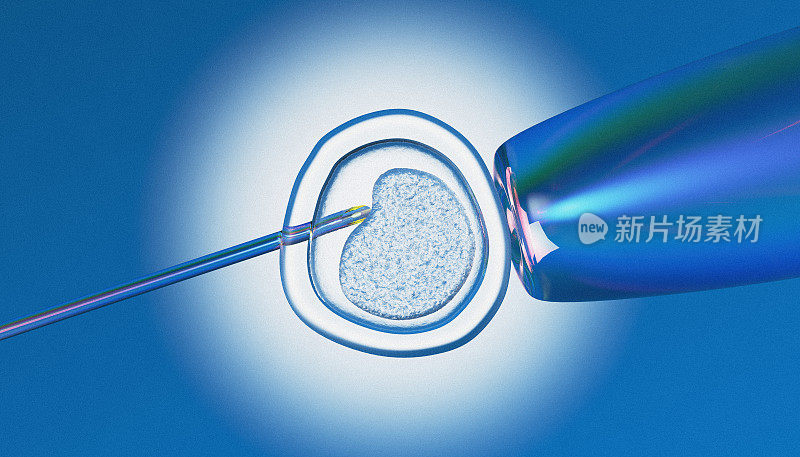 胚胎干细胞的提取