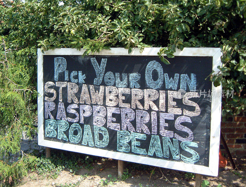 农场的招牌是“自己摘草莓”