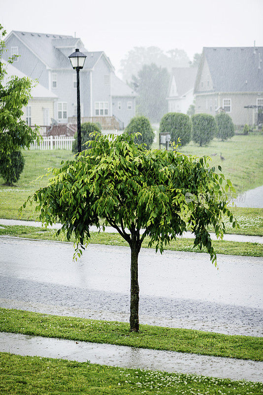 夏季暴雨期间的暴雨