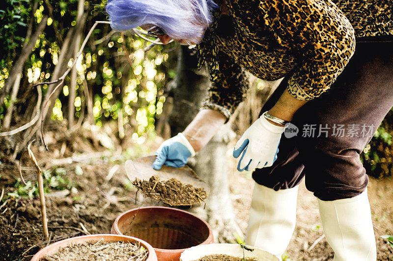 花园里活跃的老妇人