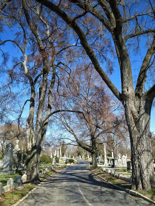 历史上的好莱坞公墓，里士满，弗吉尼亚州