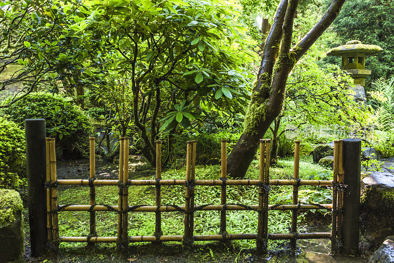 绿色植物苔藓竹篱笆日本花园俄勒冈州“创意内容简介”700060701