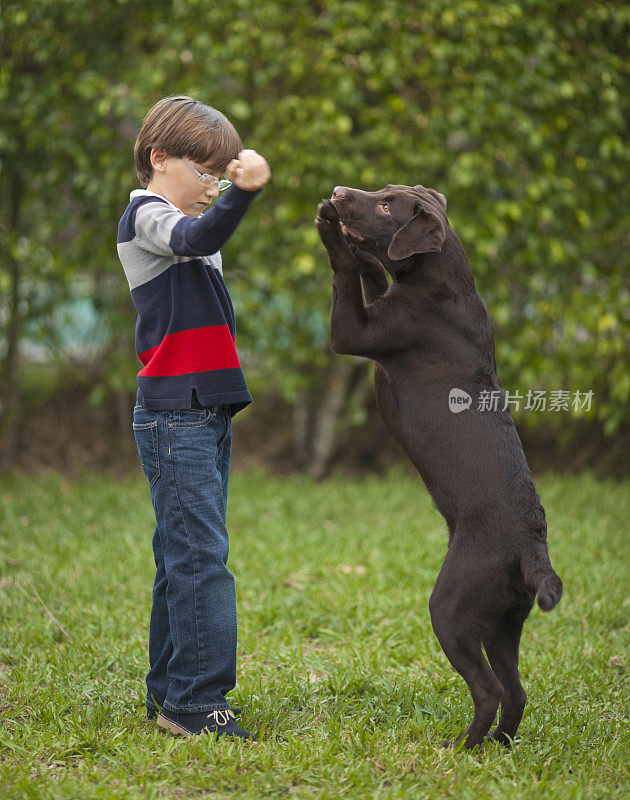 男孩教他的狗
