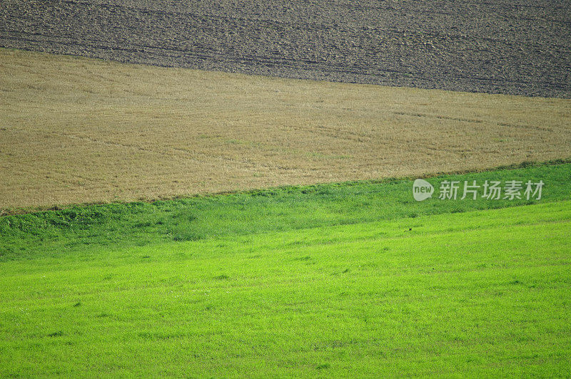 农村的场景