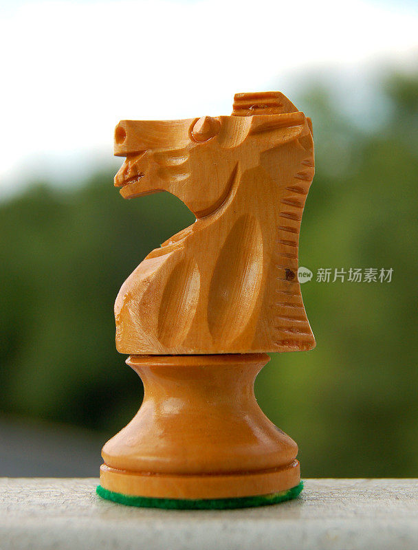 国际象棋的骑士