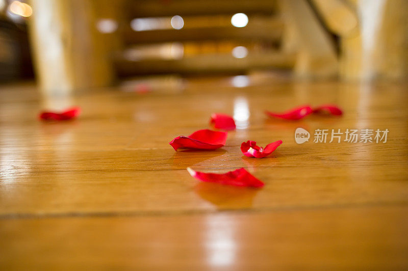 木地板上的红玫瑰花瓣