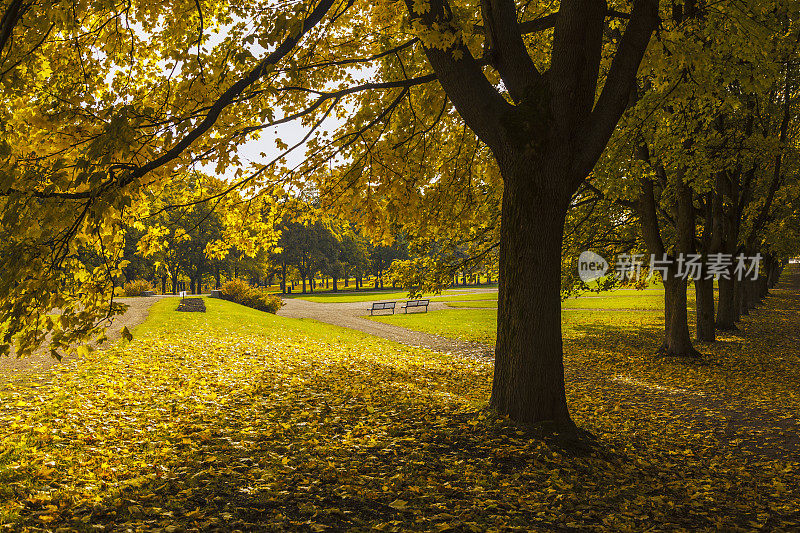 奥斯陆弗罗格纳公园的秋色