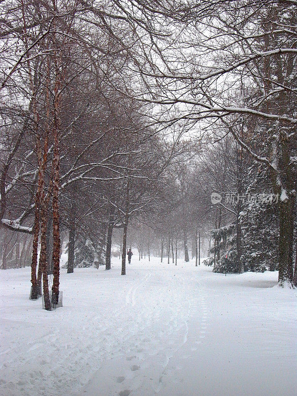 在雪地里奔跑