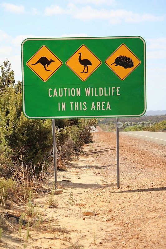 注意袋鼠，鸸鹋和针鼹，澳大利亚的交通标志