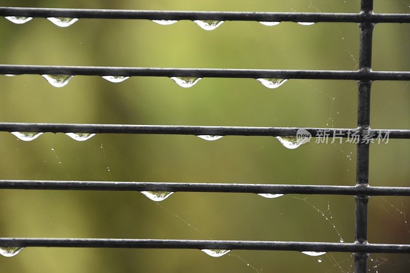 雨中湿的栅栏