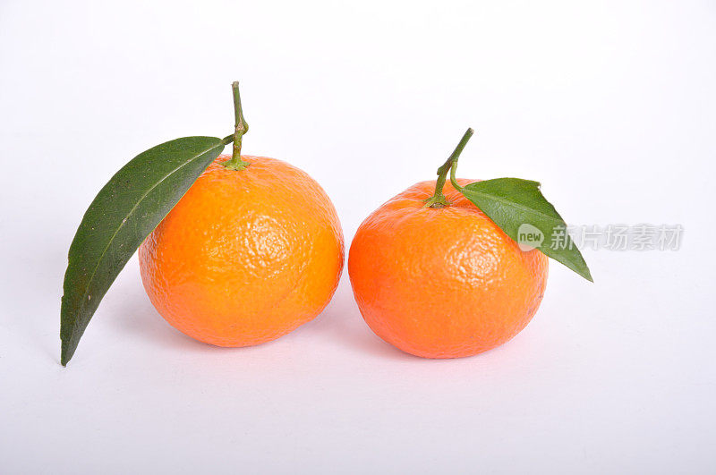 有机柑橘,普通话