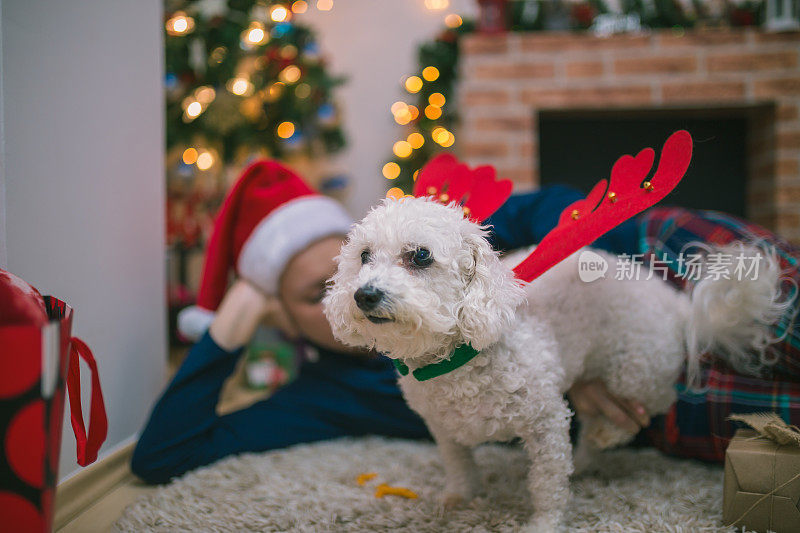 有吸引力的时髦的年轻女人圣诞节与她的狗坐在装饰的壁炉和树轻拍它的头与幸福的微笑。