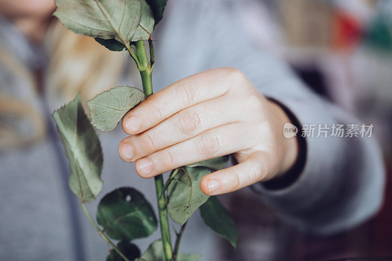 现代花匠工作与鲜花在车间-与手的细节