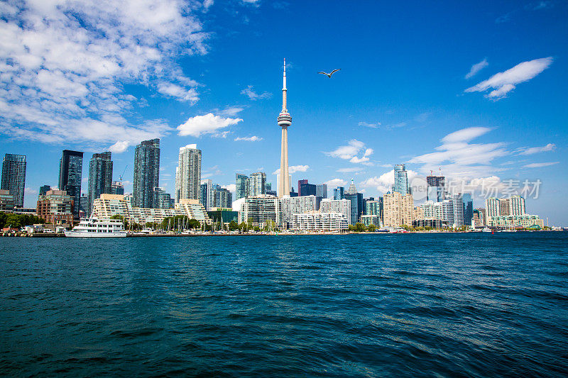多伦多，安大略省，加拿大，2016年8月12日:从安大略湖看多伦多。随着房地产热潮推高房价，这座城市继续建设。