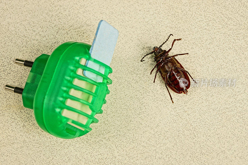 电动防虫装置及褐甲虫