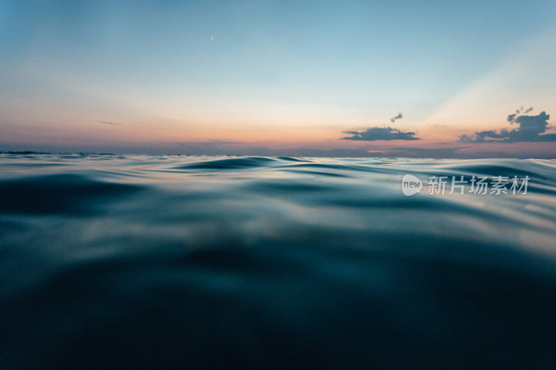 漂浮在水面上