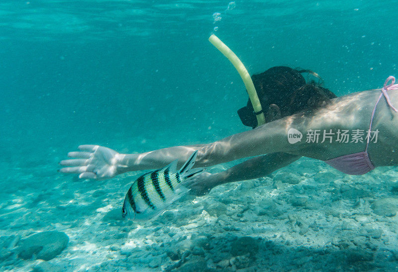 在水下探索海洋生物的女人浮潜。