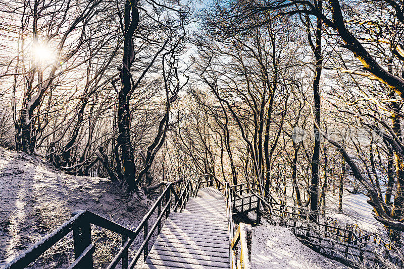 丹麦M?ns Klint的冬季阳光和完美的雪