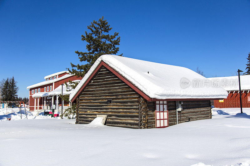 雪景,雪,树,小木屋