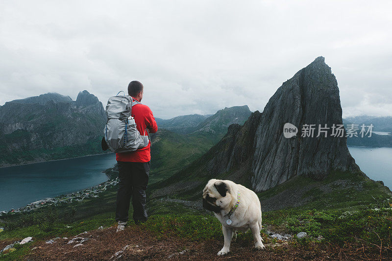 人们和狗在挪威北部的山上徒步旅行