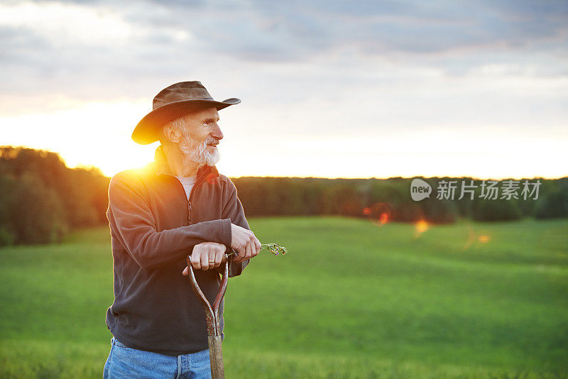 园艺一直是我最大的爱好