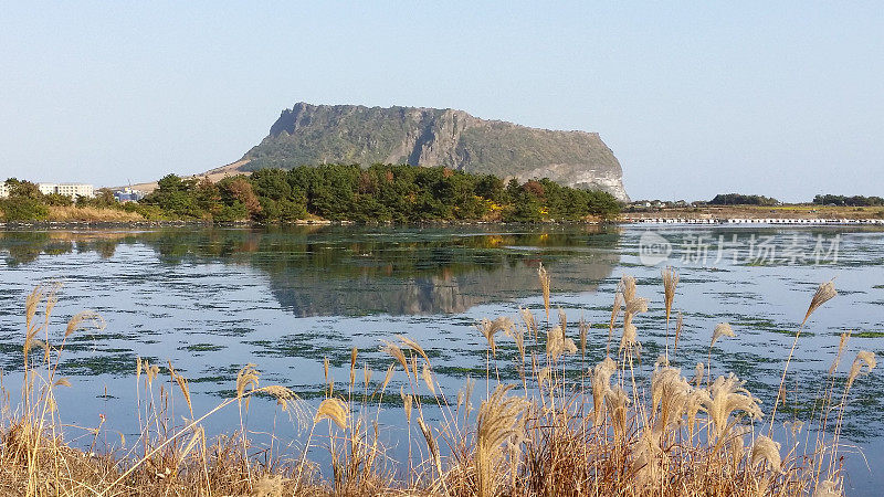 济州岛的秋天