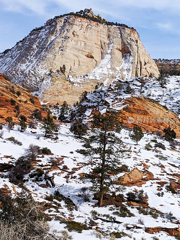 雪地景观和砂岩悬崖沿着风景优美的道路附近的棋盘Mesa在锡安国家公园犹他州