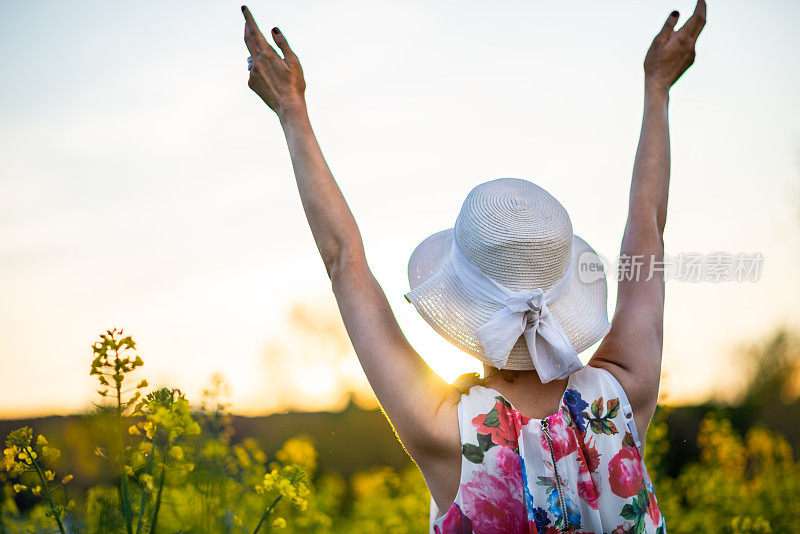 女人张开双臂站在满是黄花的田野里的背影