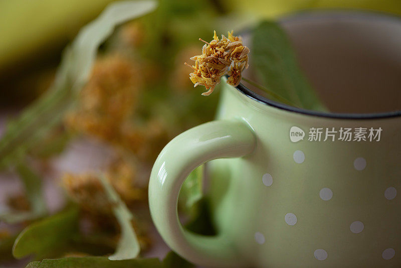 一杯菩提叶花草茶