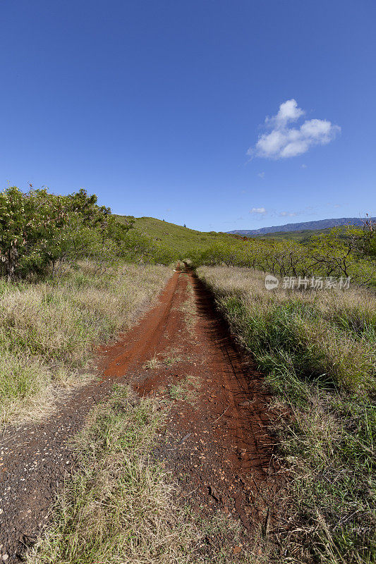 乡村公路，考艾岛，夏威夷群岛