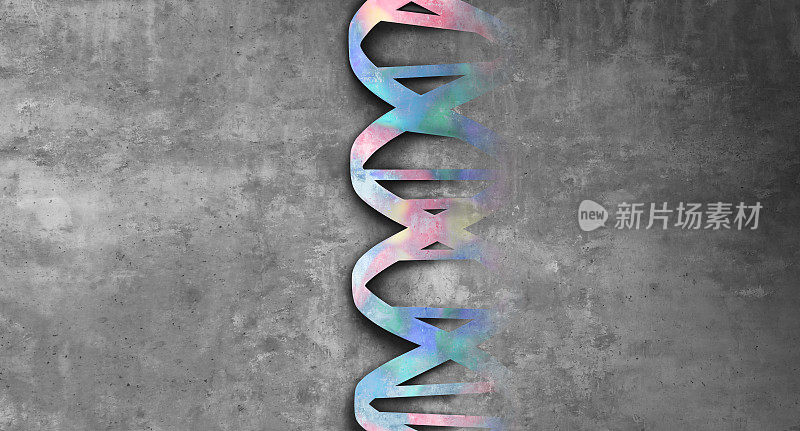 人类DNA文摘