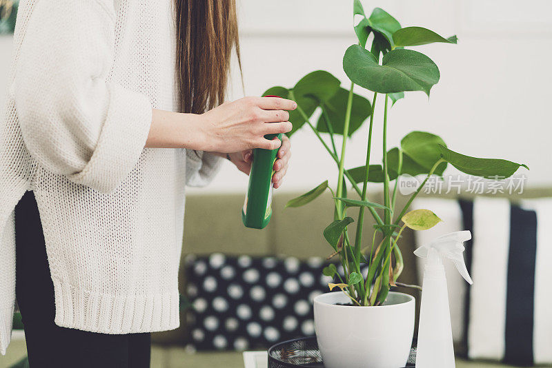 给植物施肥的女人