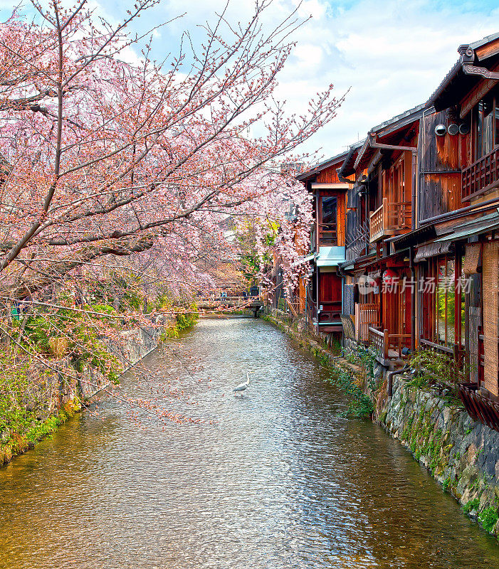 京都旧园的白川河