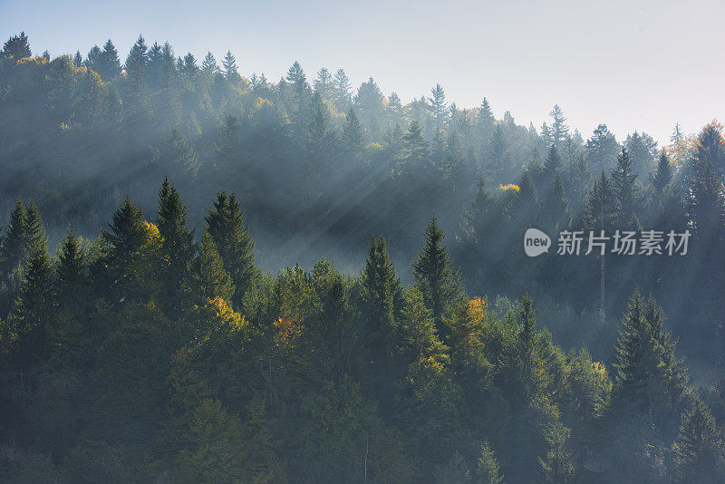 森林高处天使般的天堂般的景色