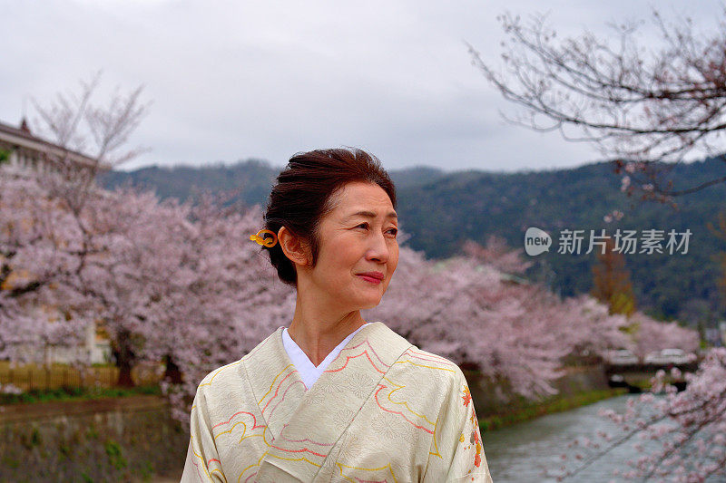 穿着和服的日本妇女在京都享受樱花盛开的季节