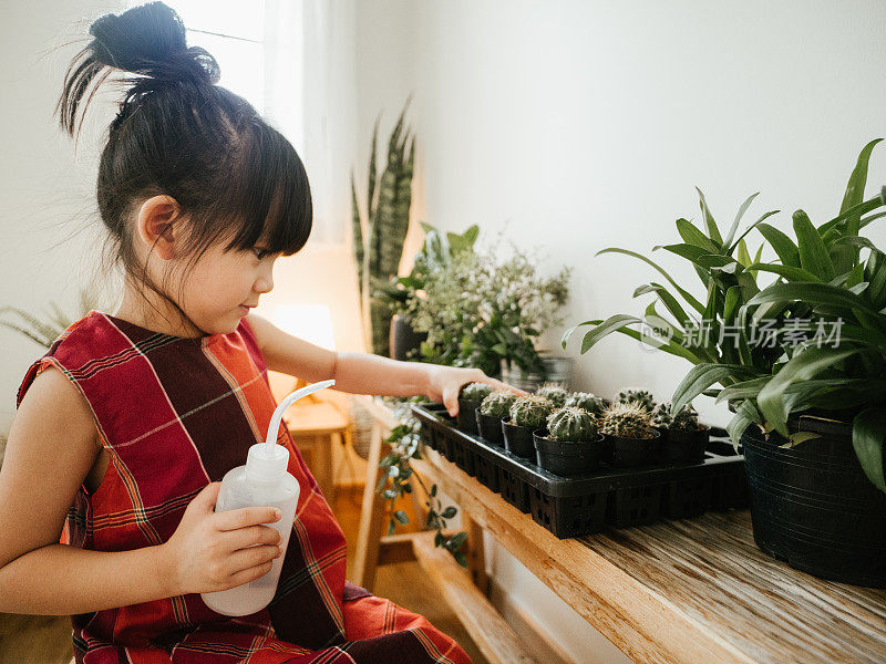 孩子在家里照料植物。