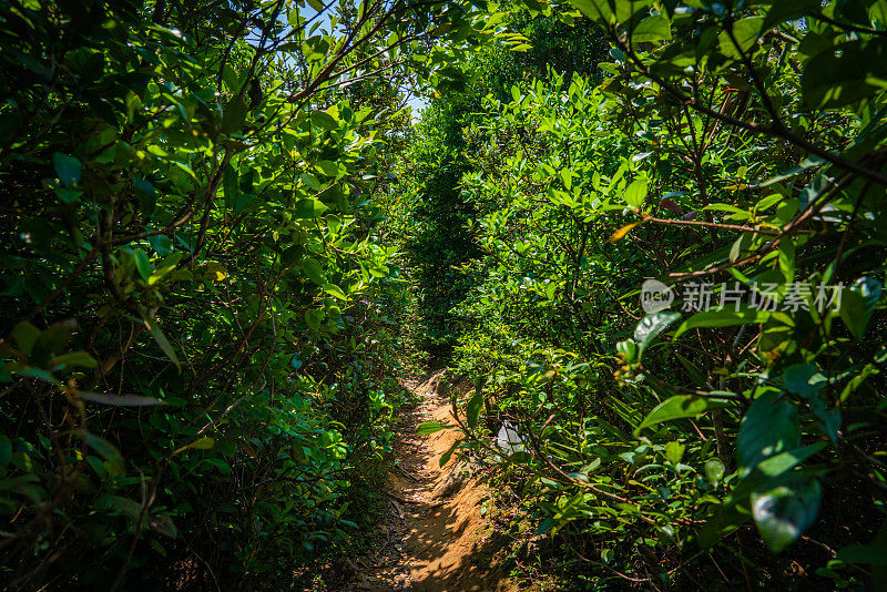 香港草岛徒步旅行路线