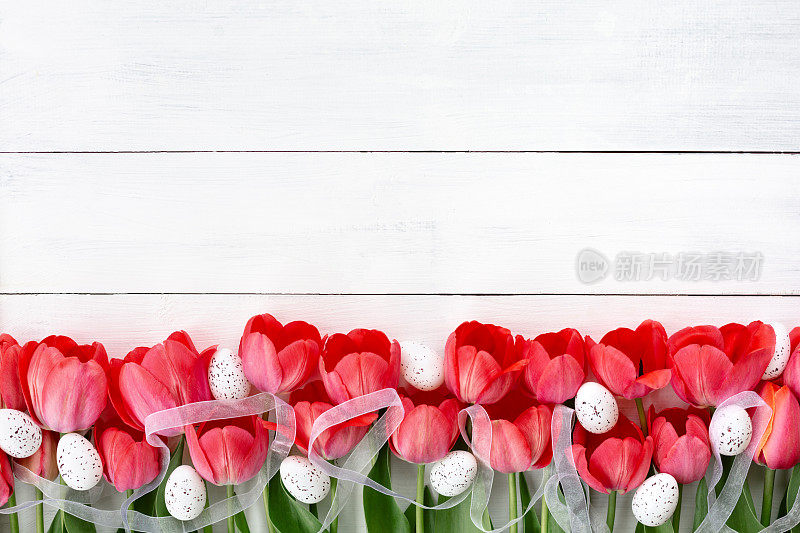 复活节边界与红色郁金香，鸡蛋和丝带在白色的木制背景。前视图。副本的空间。