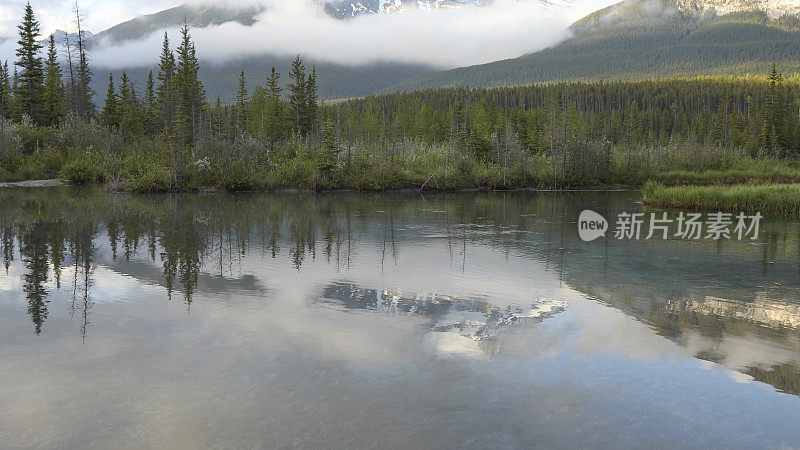 森林湖滨风景