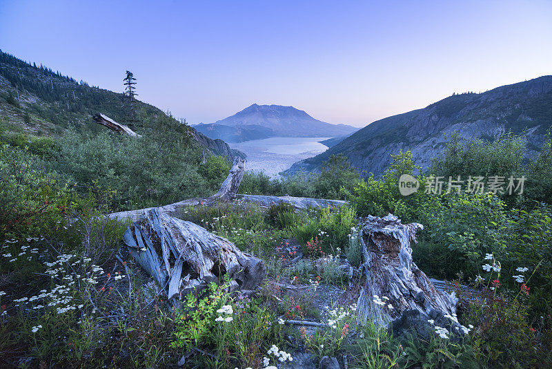 圣海伦斯山和灵湖