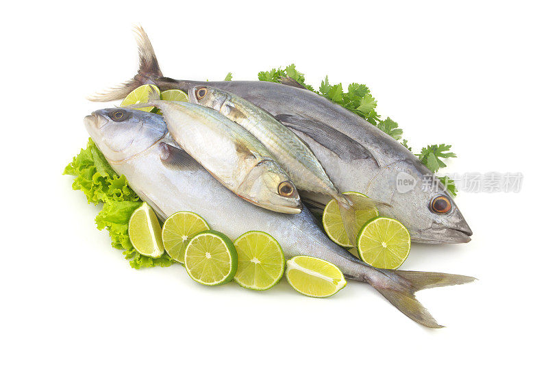 新鲜的琥珀鱼，短鲭鱼和生金枪鱼沙拉和欧芹叶与柠檬孤立的白色背景。