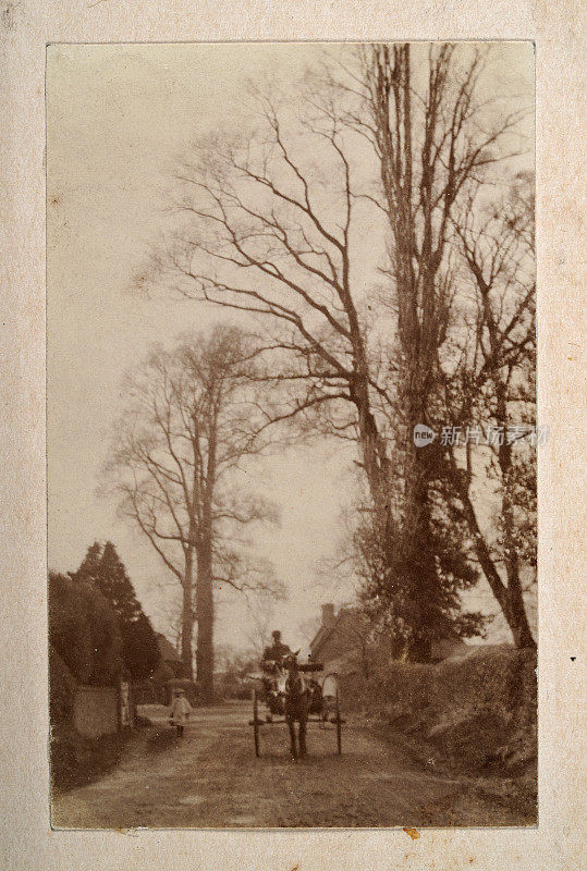 马车在乡村街道上行驶的复古照片，光秃秃的树，维多利亚时代的农村景象19世纪